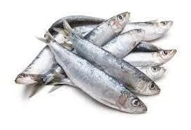 Canine Country Canine Country Sardines 1kg