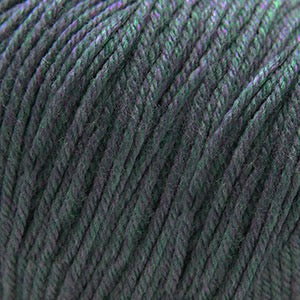 Cascade 220 Superwash Worsted