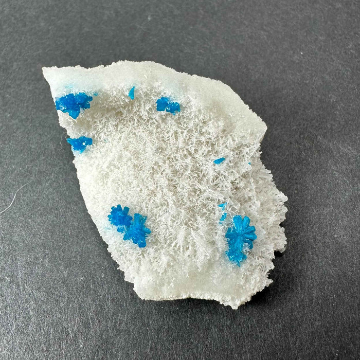 Cavansite Ball 'Floaters' on Stilbite MD - Smokin Resin Company
