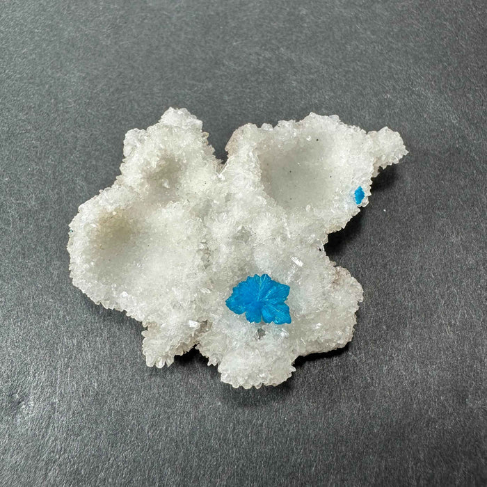 Cavansite Ball 'Floaters' on Stilbite MD - Smokin Resin Company