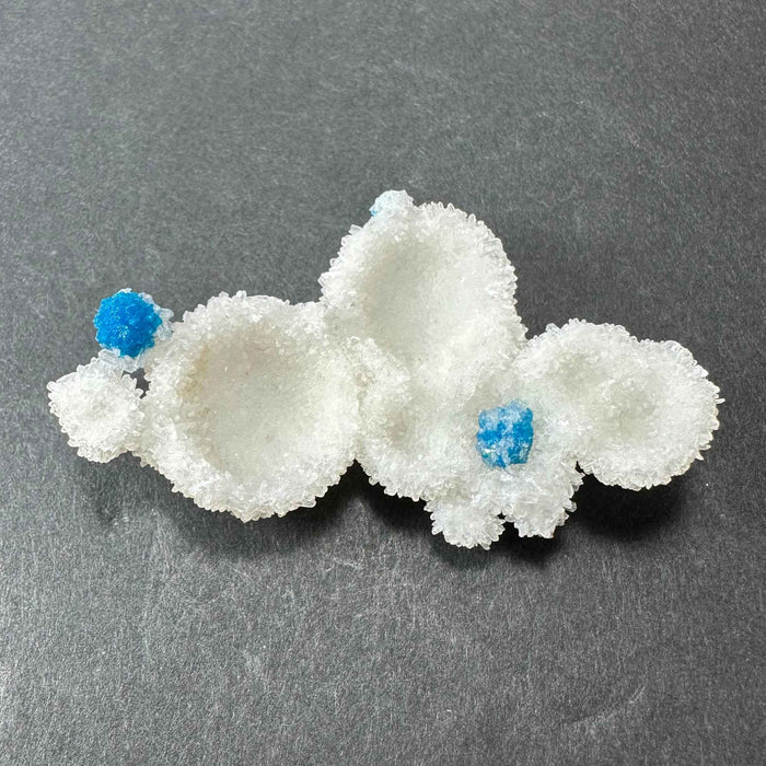 Cavansite Ball 'Floaters' on Stilbite MD - Smokin Resin Company