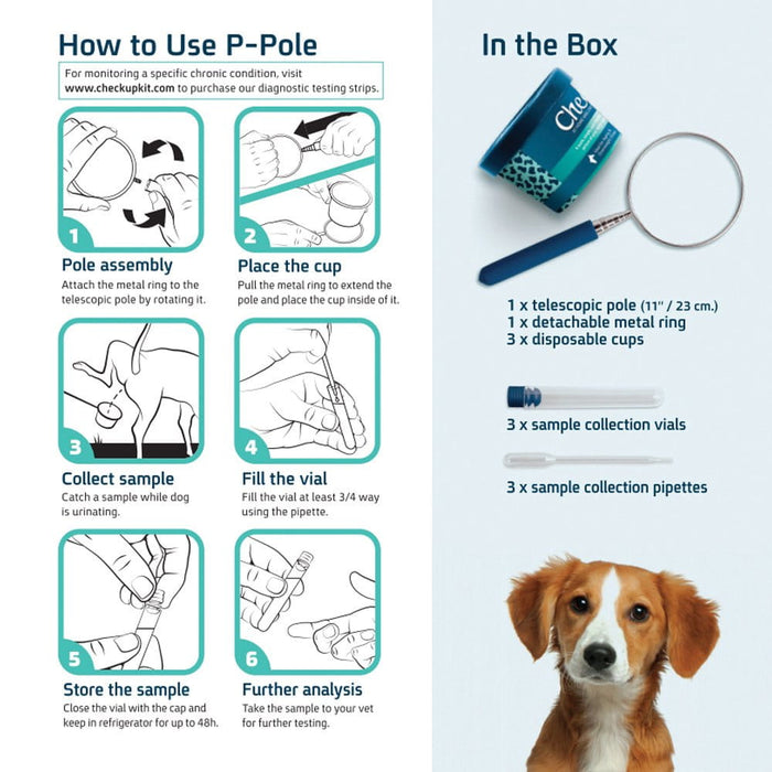 Checkup CheckUp P-POLE DOG URINE SAMPLE COLLECTION KIT