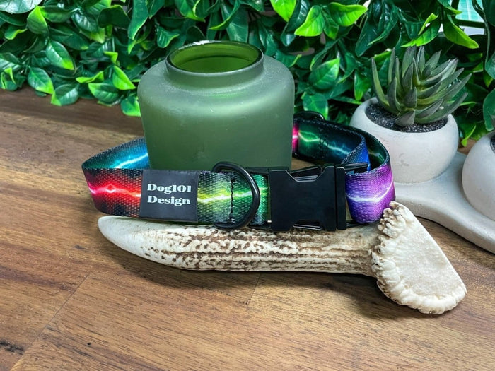 Dogtraining101 Coloured Lightning Metal Clip Collar