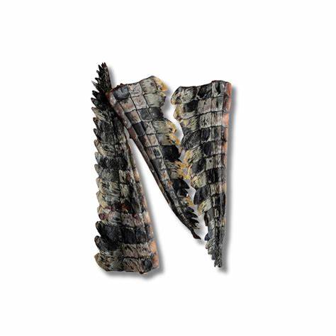 Dogtraining101 Retail Super Store Crocodile / 1 Pack Crocodile Tail