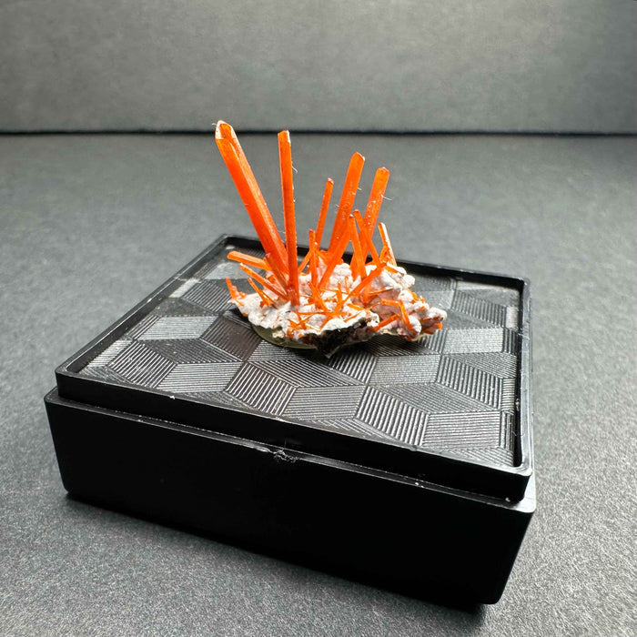 Crocoite on Matrix Adelaide Mine, Dundas, Tasmania, Australia - Smokin Resin Company