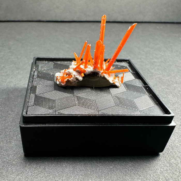 Crocoite on Matrix Adelaide Mine, Dundas, Tasmania, Australia - Smokin Resin Company