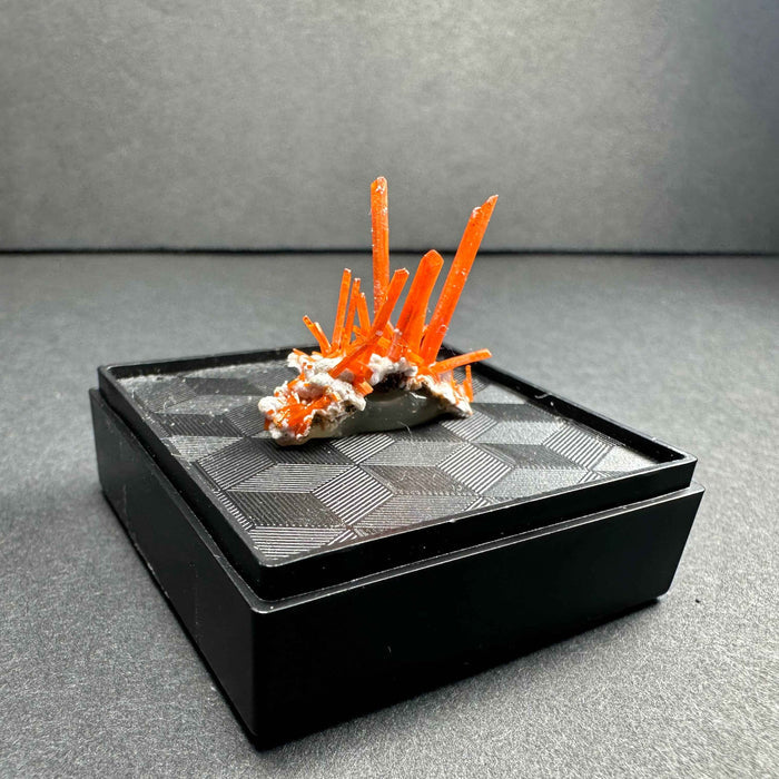 Crocoite on Matrix Adelaide Mine, Dundas, Tasmania, Australia - Smokin Resin Company