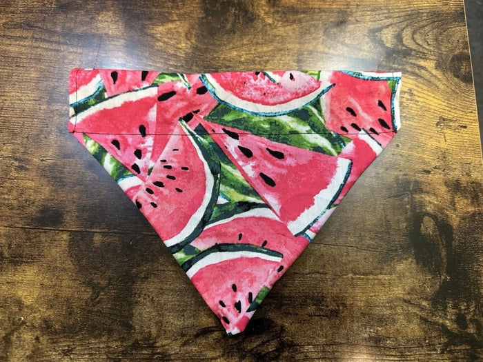 Dogtraining101 Medium Cut Watermelon Bandanna