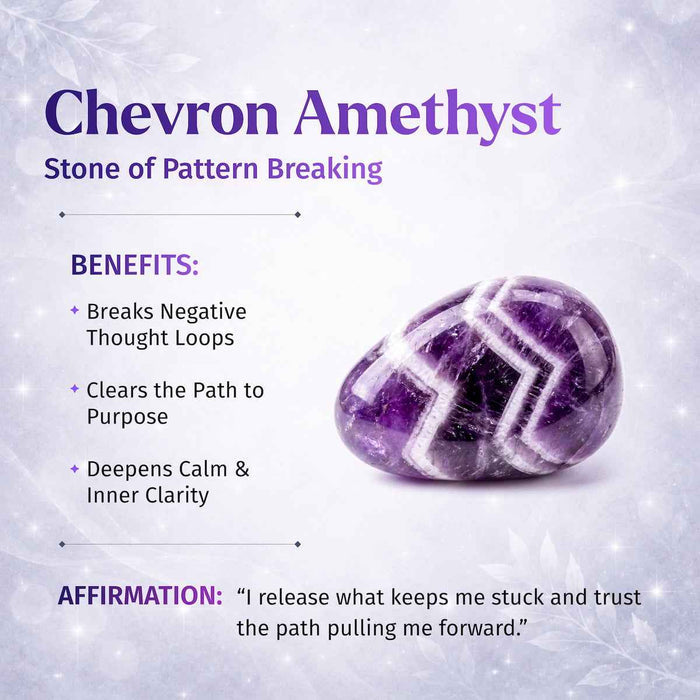 Cycle Breaker - Chevron Amethyst Point of Transformation