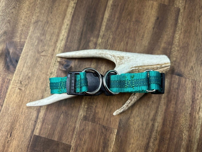 Dogtraining101 Medium Dark Green/Emerald - 2 Tone Double Up Collar