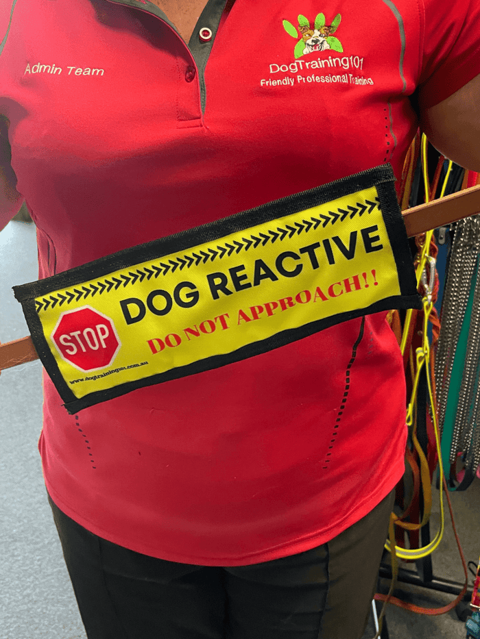 Dogtraining101 Dog Reactive - Leash Banner