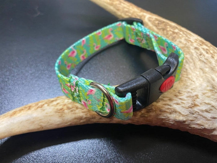 Dogtraining101 Retail Super Store Flamingo Webbing Collar (Small/Puppy)