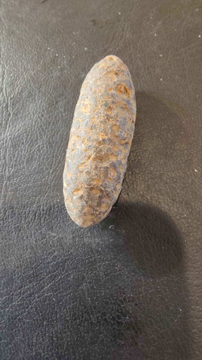 Fossilized Pine Cone 2" - Smokin Resin Company
