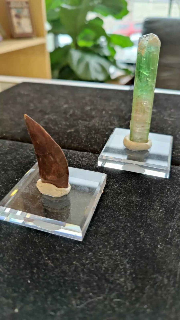 Geo-Tac Mineral and Fossil Mounting Display Putty