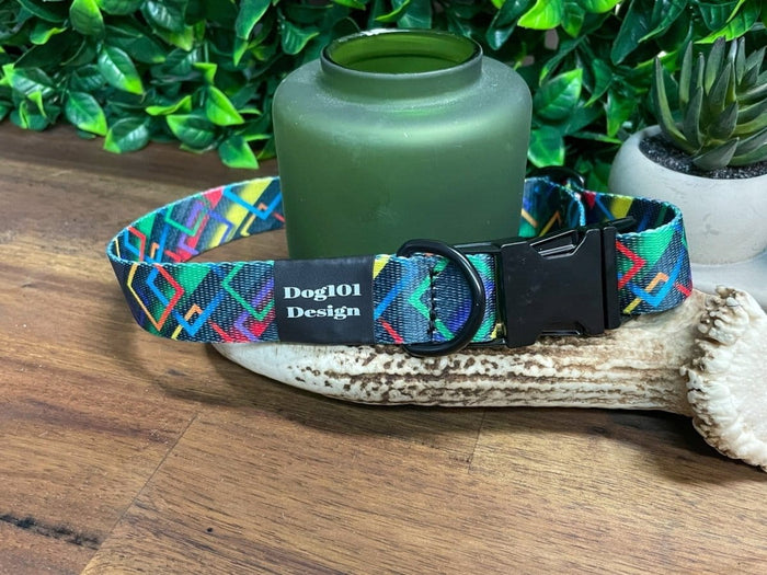 Dogtraining101 Geometric Metal Clip Collar