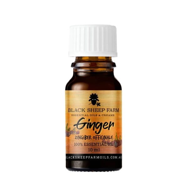 Dogtraining101 Retail Super Store Ginger 100% Essential Oil 10ml