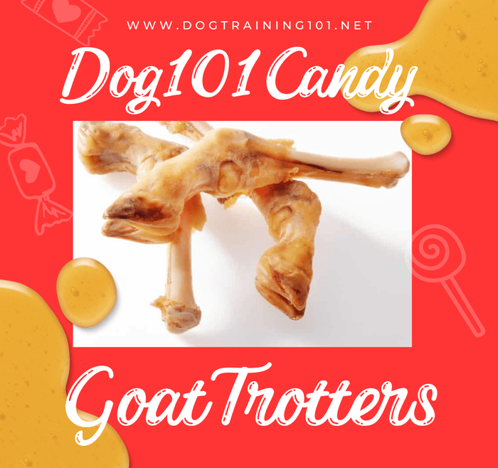 Dogtraining101 Treats Goat Trotters