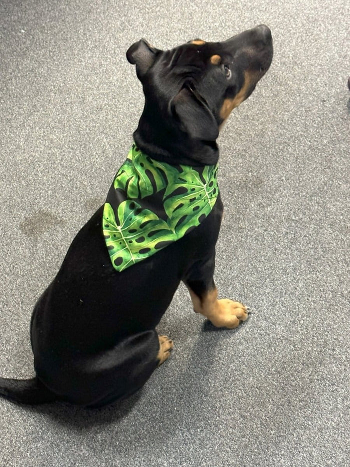Dogtraining101 Green Palm Bandanna