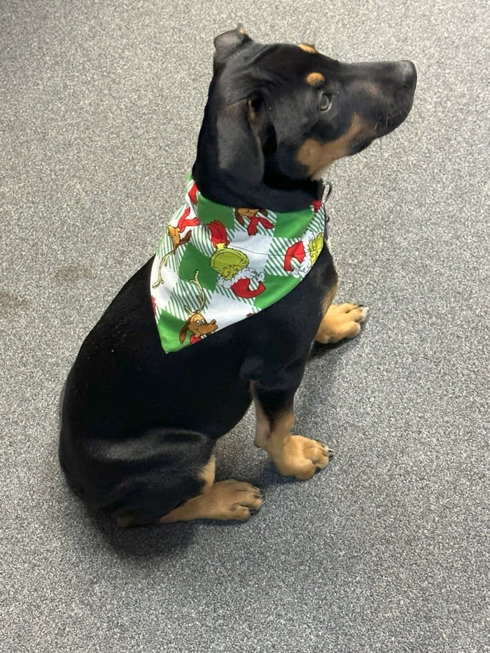 Dogtraining101 Grinch Bandanna