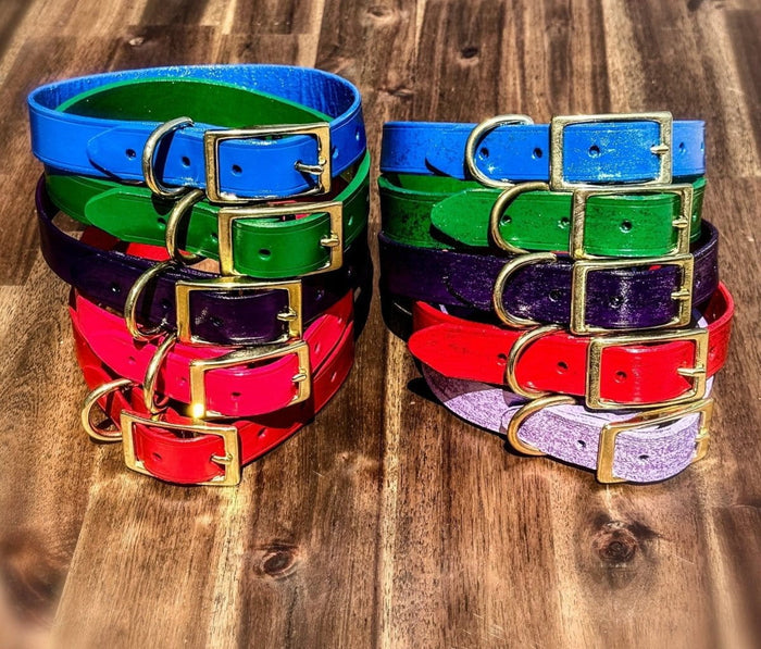 Dogtraining101 Hand Painted Leather -  Blue