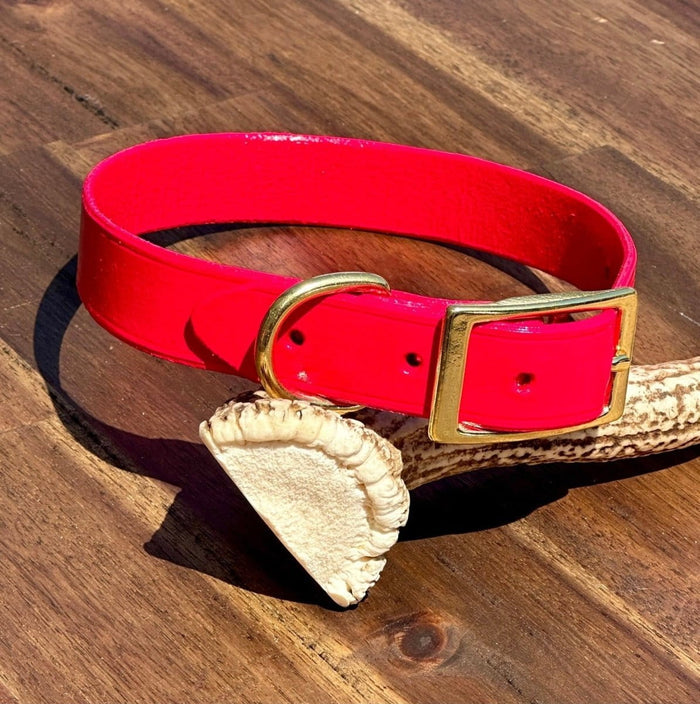 Dogtraining101 Puppy Hand Painted Leather - Jamaican Joy