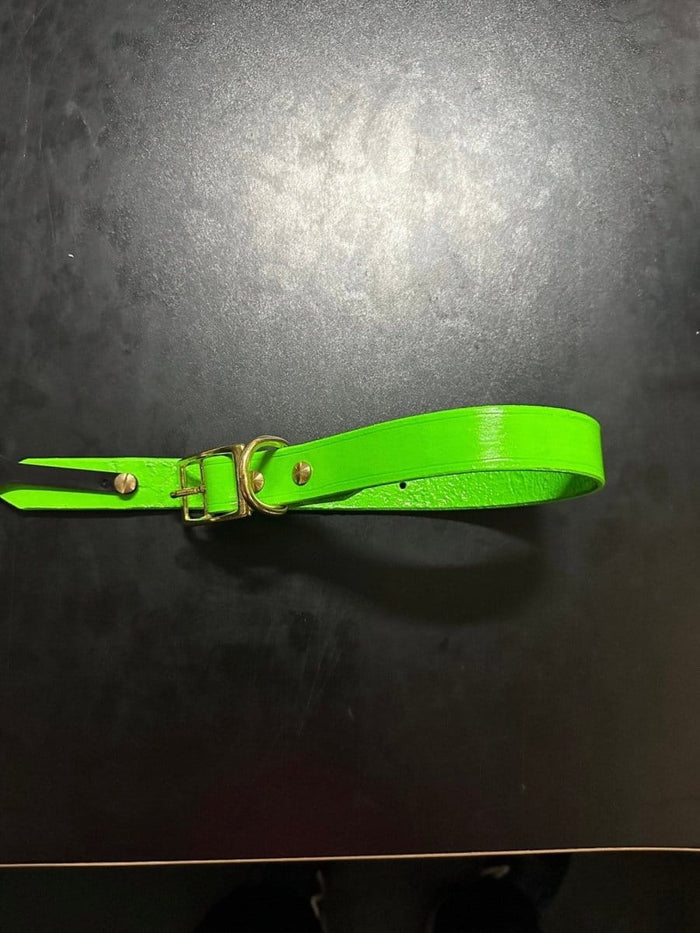 Dogtraining101 Puppy Hand Painted Leather -  Joker Green