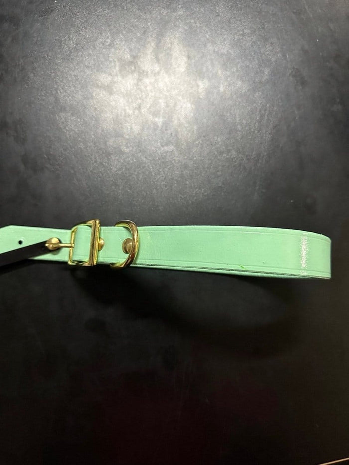 Dogtraining101 Puppy Hand Painted Leather -  Mint