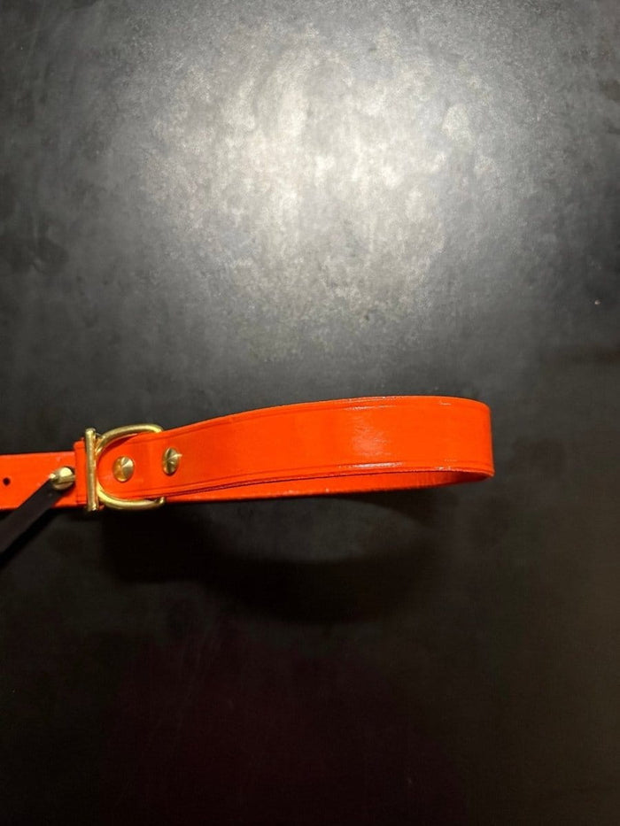 Dogtraining101 Puppy Hand Painted Leather -  Orange