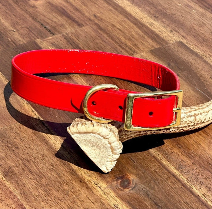 Dogtraining101 Puppy Hand Painted Leather -  Red