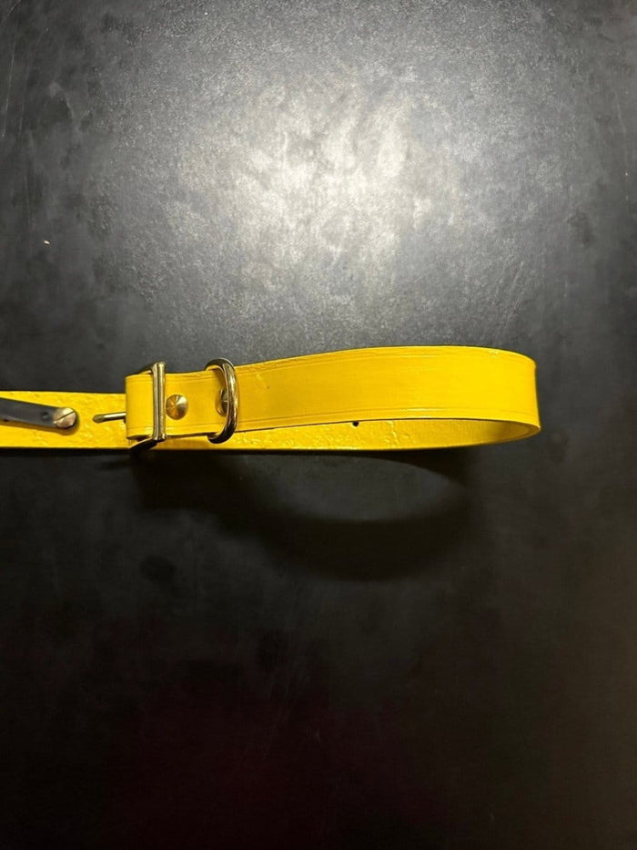 Dogtraining101 Puppy Hand Painted Leather -  Thunder Yellow