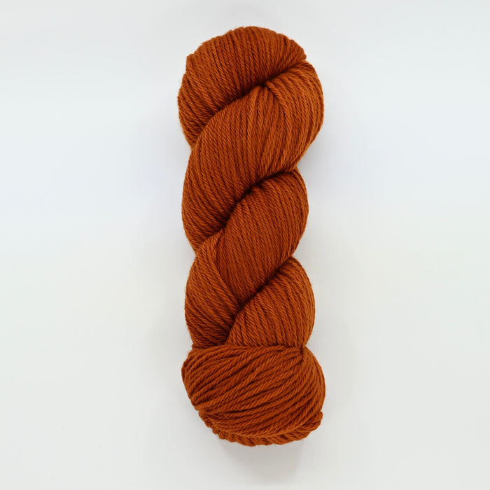 Hello Punkin' - Caldera Worsted