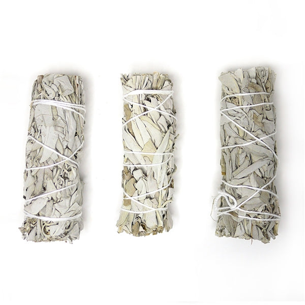 HERB & EARTH - White Sage 3pcs