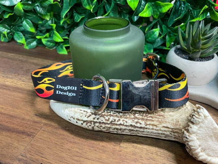 Dogtraining101 Medium / Silver Hot Rod Metal Clip Collar