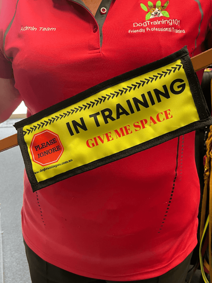 Dogtraining101 In Training - Leash Banner