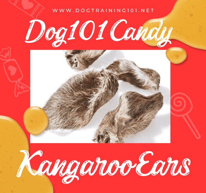 Dogtraining101 Treats Kangaroo Ears