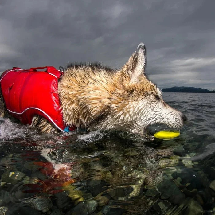 Kurgo Kurgo -Skipping Stones Floating Fetch Dog Toy