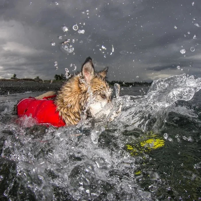 Kurgo Kurgo -Skipping Stones Floating Fetch Dog Toy