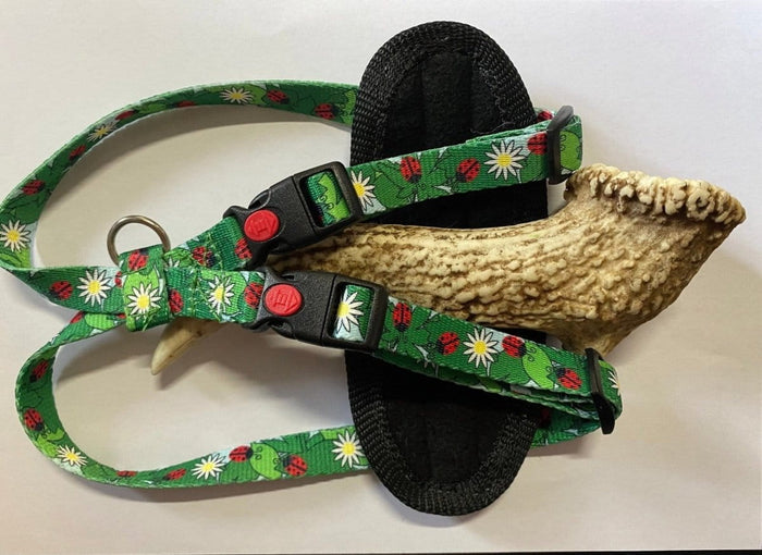 Dogtraining101 Lady Bug Premium Harness (Small)
