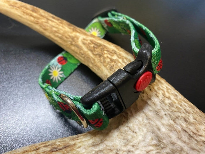 Dogtraining101 Retail Super Store Ladybug Webbing Collar (Small/Puppy)