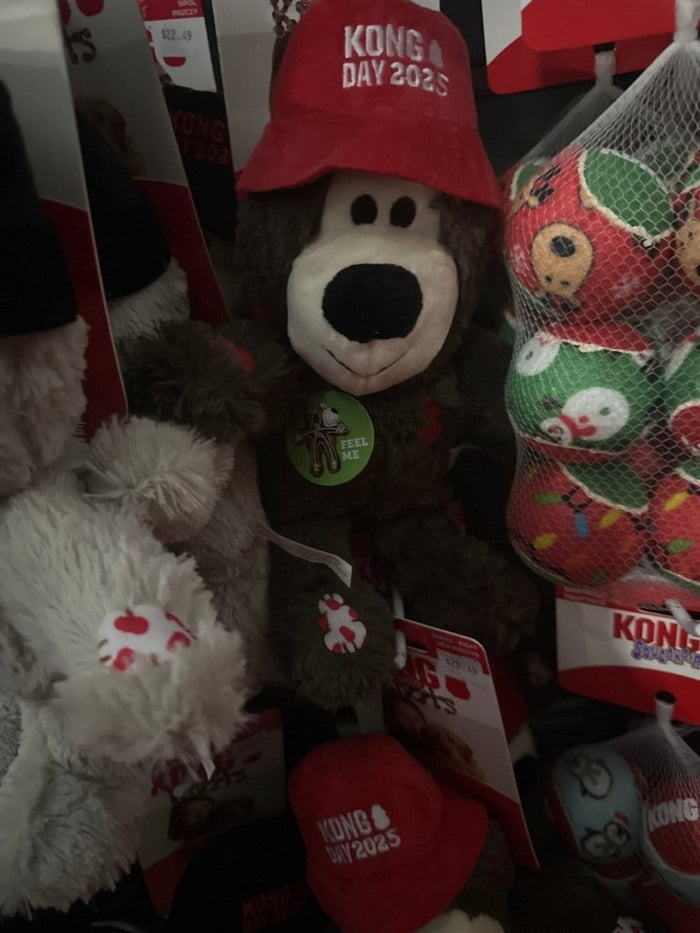 Kong Large Kong day 2025 Teddy knots