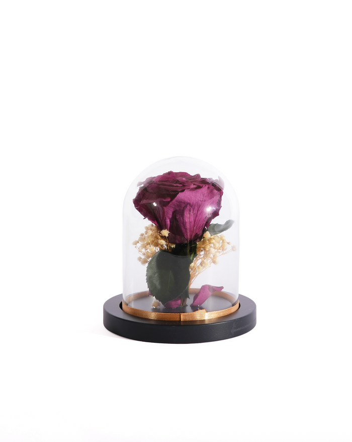Violet