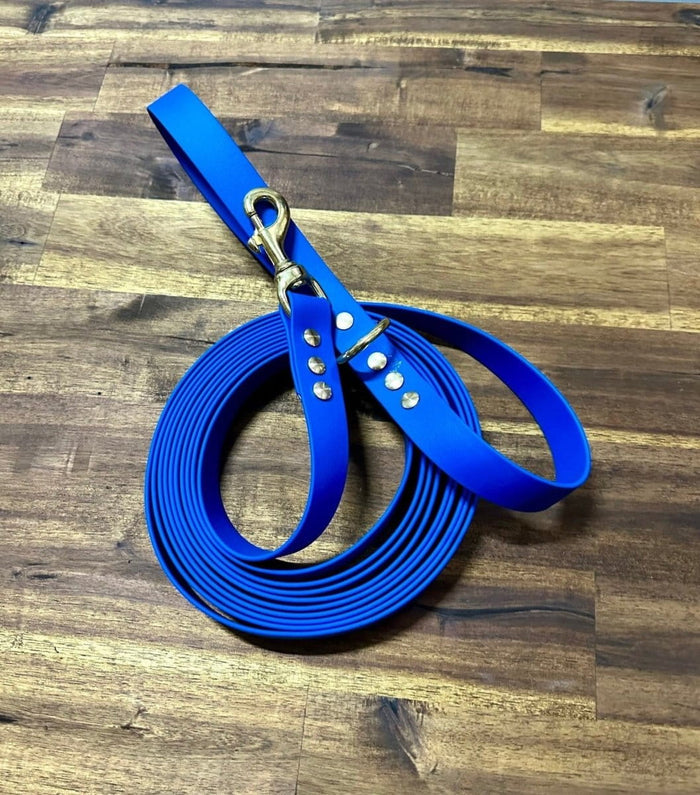 Dogtraining101 Lead 5m Blue Biothane Beach - Brass Fittings