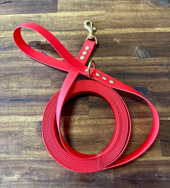 Dogtraining101 Lead 5m Red Biothane Beach - Brass Fittings