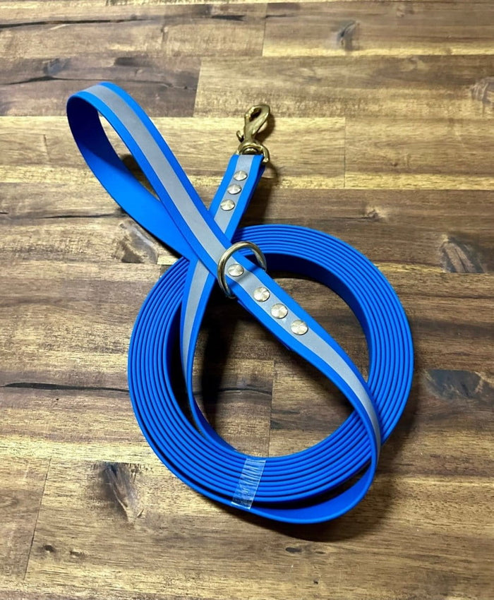 Dogtraining101 Lead 5m Reflective Blue Biothane Beach - Brass Fittings
