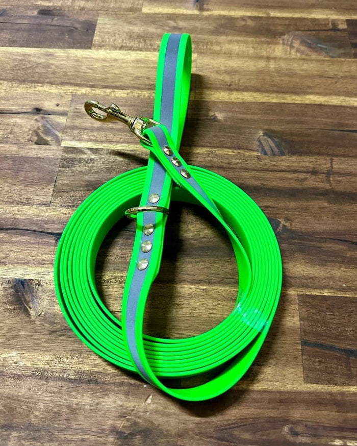 Dogtraining101 Lead 5m Reflective Green Biothane Beach - Brass Fittings