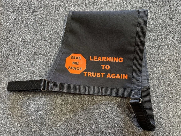 Dogtraining101 Large Learning to Trust Again - Vest