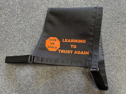 Dogtraining101 Large Learning to Trust Again - Vest