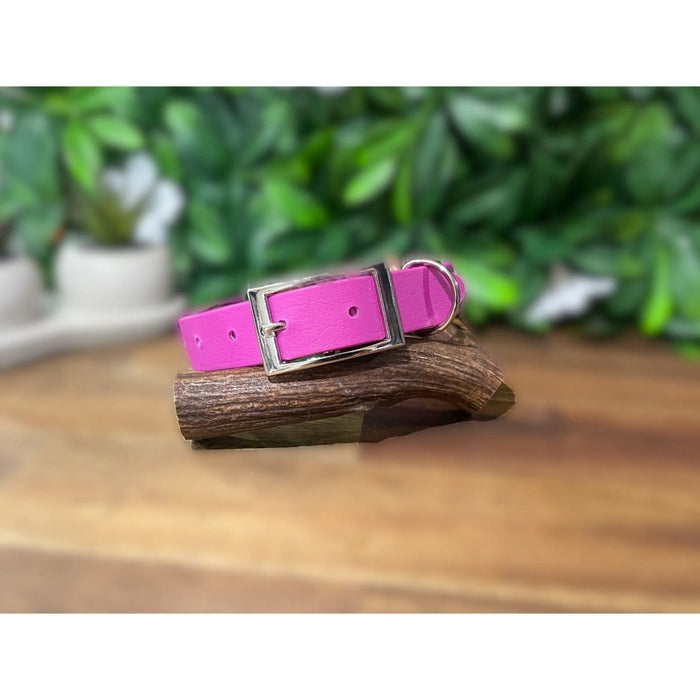 Dogtraining101 Medium / Silver Lilac Biothane Collar