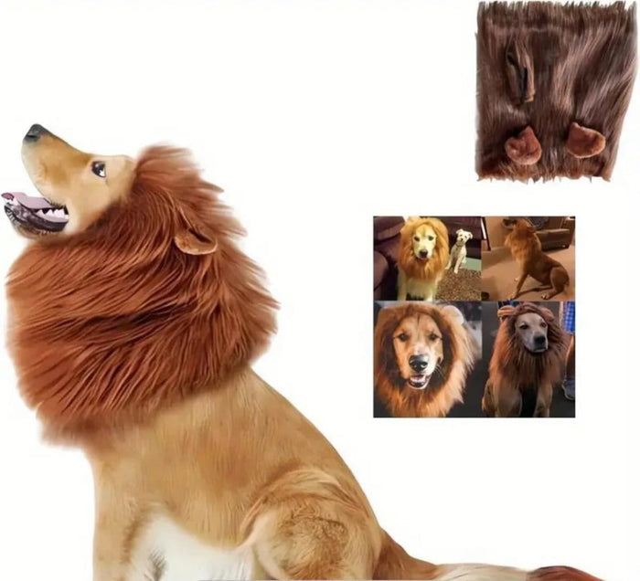 Dogtraining101 Retail Super Store Large Lions Mane for Dog