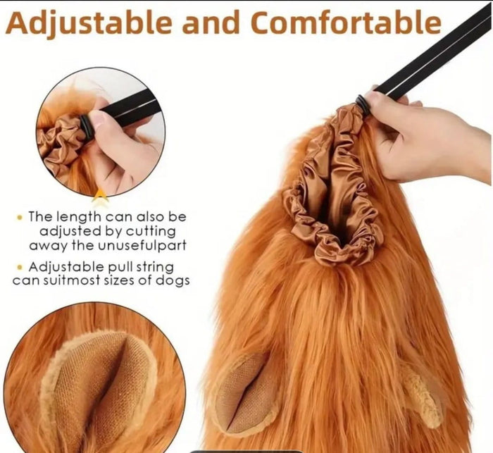 Dogtraining101 Retail Super Store Lions Mane for Dog